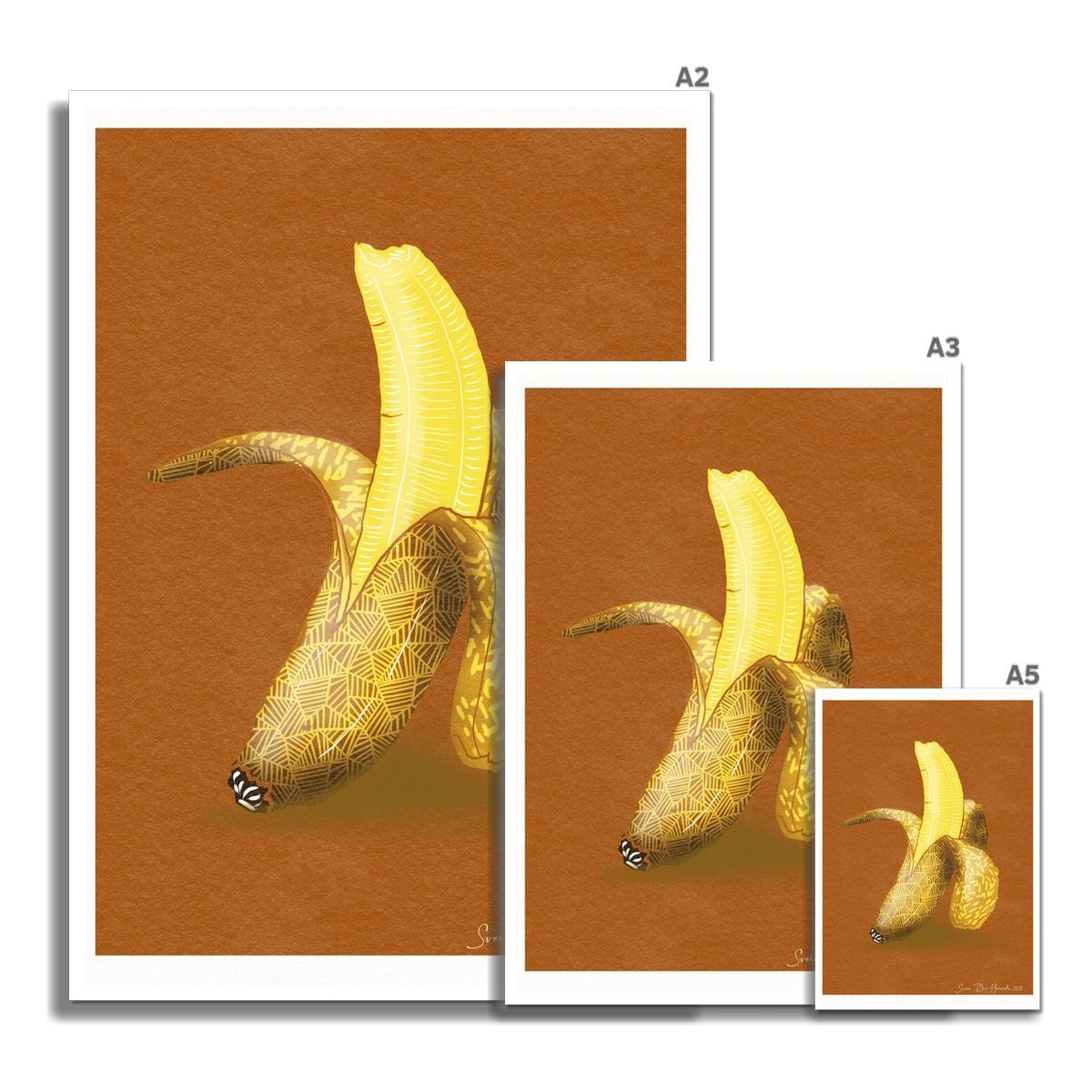 The banana ulike ruller