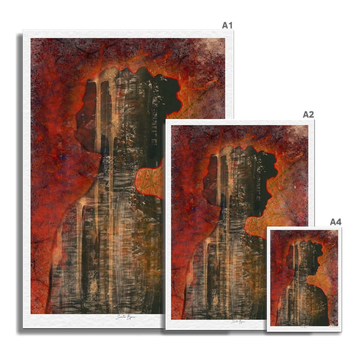 Svarta bjørn ulike størrelser