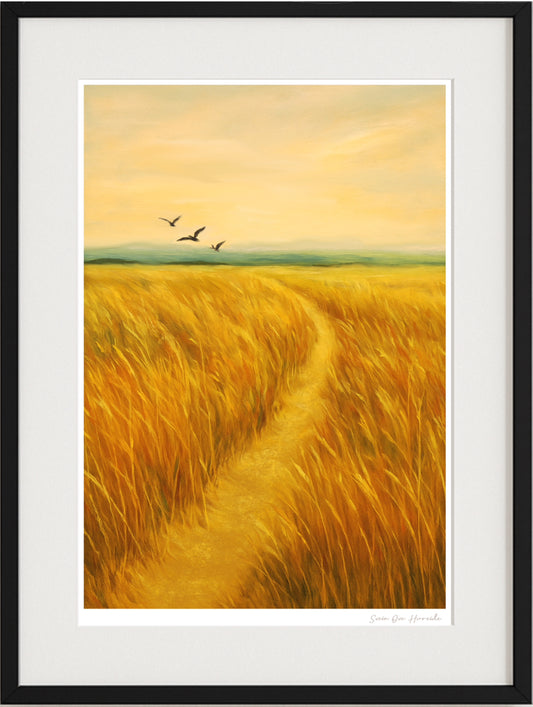 Et vakker bilde av åkeren hvor fugl letter opp